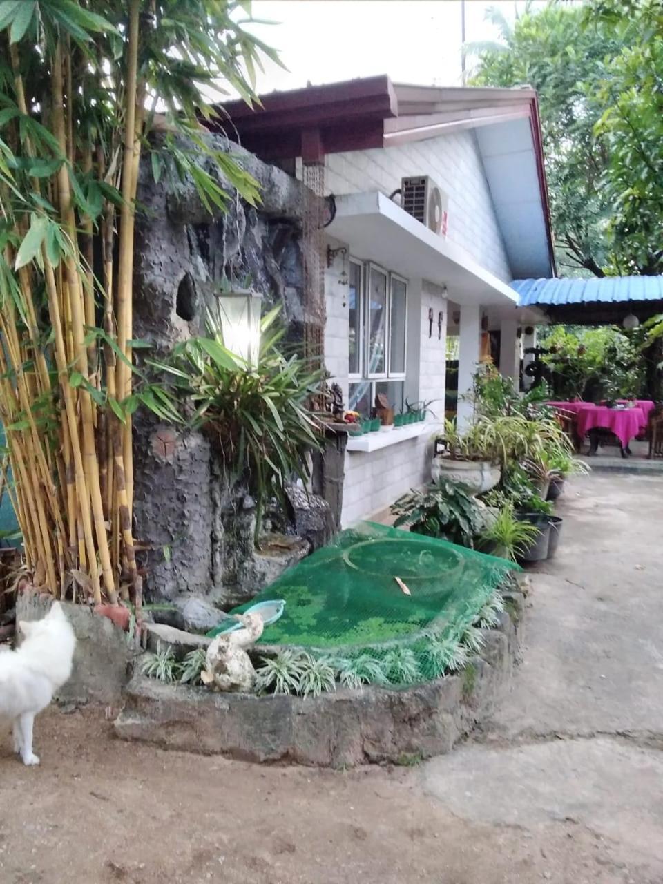 Rock Cascade Tourist Home & Cookery School Полонарува Екстериор снимка